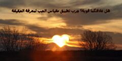 استخدم تطبيق مقياس الحب الحقيقي لاكتشاف مدى قوة الحب الحقيقي بينك وبين شريك حياتك.